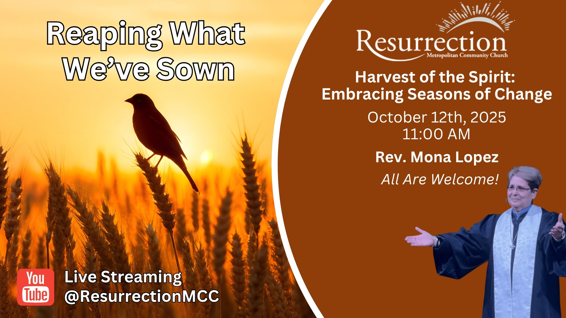 Sunset wheat field with bird and church flyer